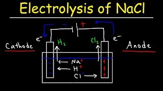 Electrolysis of Sodium Chloride  Electrochemistry [upl. by Aloek233]