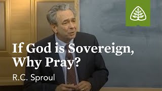 If God is Sovereign Why Pray Prayer with RC Sproul [upl. by Nuyh]