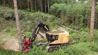 Chilton Logging Tigercat 870D Feller Buncher and Cat 558 Processor [upl. by Shantha420]