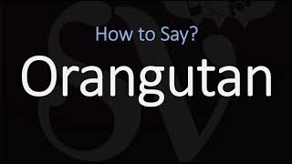 How to Pronounce Orangutan CORRECTLY [upl. by Neved]