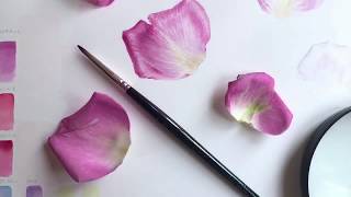 Painting a pink rose petal [upl. by Kezer]