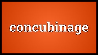 Concubinage Meaning [upl. by Ema144]