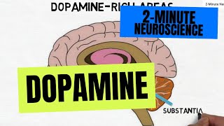 2Minute Neuroscience Dopamine [upl. by Nawak742]