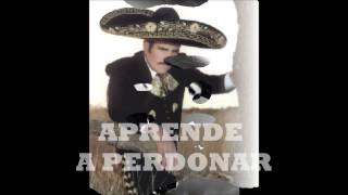 Vicente Fernandez Top 10 Boleros Rancheros [upl. by Aisnetroh]