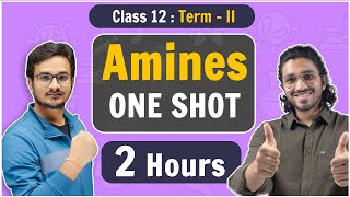 Class 12  Amines in One Shot  NCERT Term2 [upl. by Naujled]