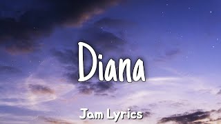 Diana  Paul Anka ✓Lyrics✓ [upl. by Amitak484]