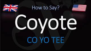 How to Pronounce Coyote  English American Pronunciation [upl. by Hcone]