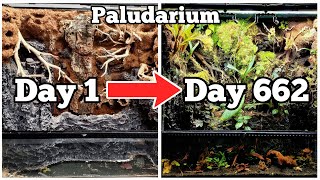 DIY Paludarium How To Update [upl. by Lenra]