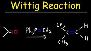 Wittig Reaction Mechanism [upl. by Aisul]