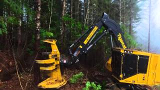 Tigercat LX830D Feller Buncher in Oregon [upl. by Nelli896]