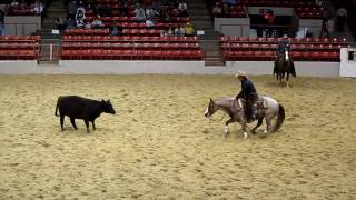 Houston Rodeo Professional Cutting Horse Competition [upl. by Cummings]