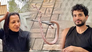 Ghar mein nikla saanp 😱 snake 🐍 [upl. by Aleedis56]