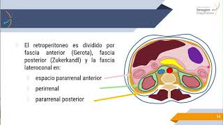 Radiología Básica de Abdomen [upl. by Auof]