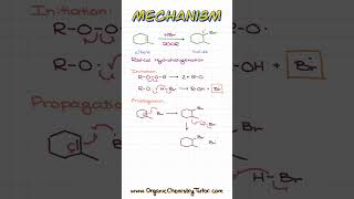 Do You Know This Mechanism [upl. by Sitoiyanap]