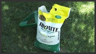 How to apply Ironite fertilizer [upl. by Hcab]