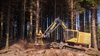 Tigercat LX870D Feller Bunchers in Washington [upl. by Yclehc]