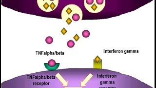 Tumor necrosis factor in cancer [upl. by Viehmann]