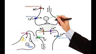 Pharmacology  ANTIEPILEPTIC DRUGS MADE EASY [upl. by Birk616]