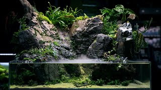 PALUDARIUM Rainforest Experience  REAL WATERFALL and Monumental Hardscape [upl. by Godiva]